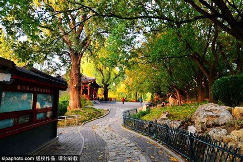 2019紫竹院公园_旅游攻略_门票_地址_游记点评,北京旅游景点推荐 - 去哪儿攻略社区