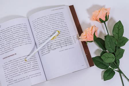 lm唯美_lm风格图片