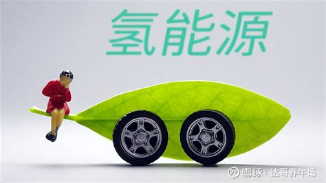 中国首款量产氢能车7月上市，能耗一公里仅2毛，续航超700公里_易车