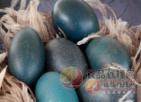 澳洲鸸鹋蛋好在哪里，蛋中之王-秒火食品代理网