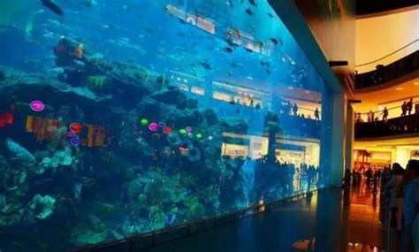 世界上最大的10个水族馆，你参观过几个？ - 知乎