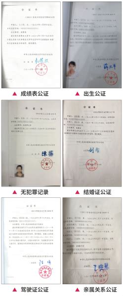 父母关系证明中国公证书，美国代办所需材料 | 办理中国签证