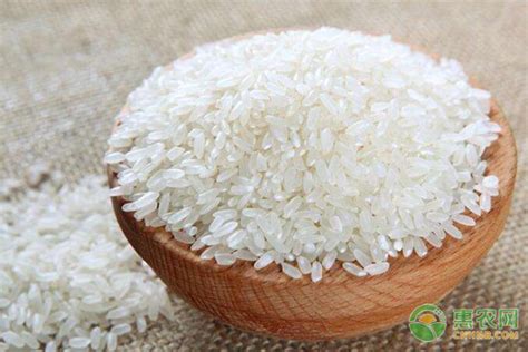 江西省哪里产的大米好吃、有名?江西4大名米,你吃过几种|丰城|贡米|大米_新浪新闻