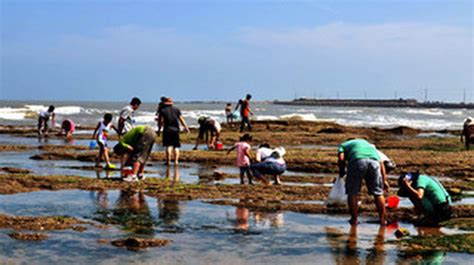 二哥赶海,小斗赶海,大梅小镇赶海(第10页)_大山谷图库