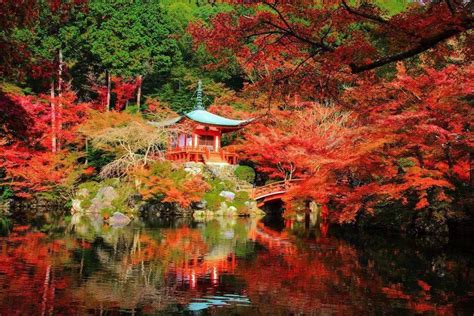 从俳句的季语看日本的秋天_季节