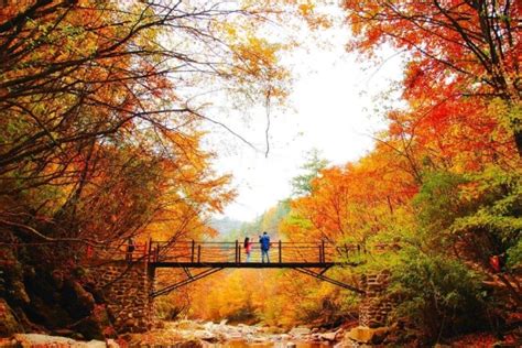 巴中哪里好玩的景点,景区,排名_大山谷图库