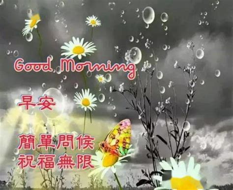 下雨天早安图片