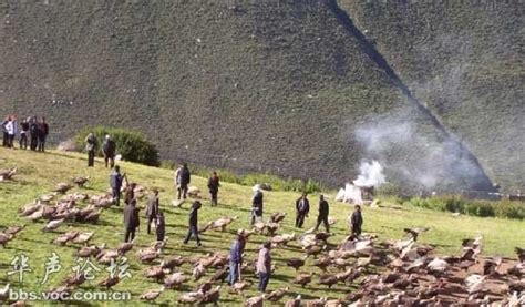 西藏武警反恐特战队高原演练 突袭假想敌山洞