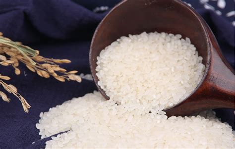 稻米品质 ll 稻米的感官鉴别 - 荆州市农业农村局