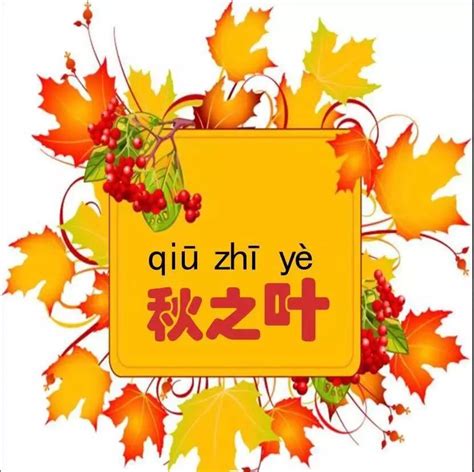 秋的拼音读,拼写,笔顺_大山谷图库
