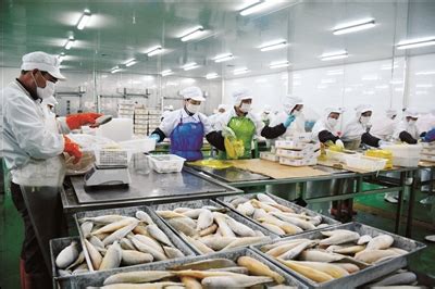 黄海水产研究所“黄条鰤工厂化循环水养殖技术示范”通过现场验收-黄海水产研究所