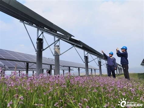 三峡能源陕西铜川光伏项目入选联合国可持续发展目标实践行动优秀案例-国际太阳能光伏网
