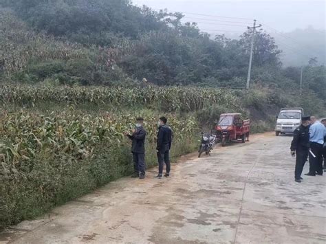 贵州一地惊现“玉米大盗”，偷了1.5吨玉米藏家中！起因竟是……__财经头条