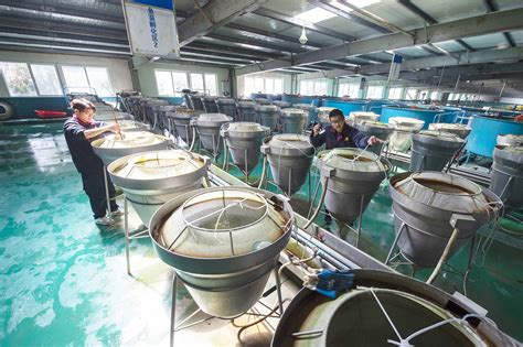 贵州：生态渔业风生水起 - 当代先锋网 - 要闻