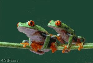 青蛙跳舞动图,青蛙跳舞,青蛙跳跃动图_大山谷图库