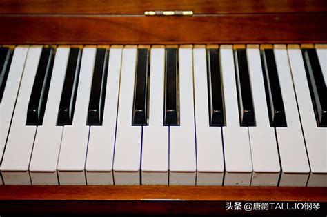 立式钢琴击弦机的构造和发声原理