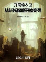 《锦衣当国》小说在线阅读-起点中文网