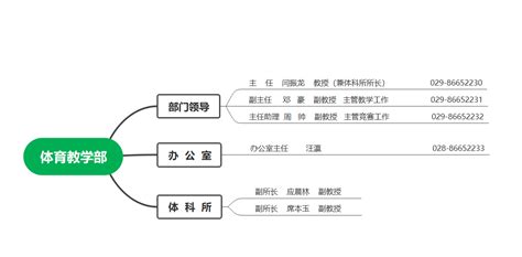 领导分工-西安交通大学城市学院-体育教学部