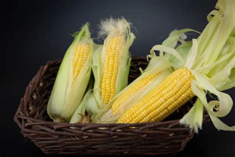 全面了解玉米，本文足够了 1.玉米基础知识 1.1.玉米起源 （1）玉米又称玉蜀黍，属于禾本科。玉米起源于美洲大陆，其祖先是野生植物——大刍草。 ... - 雪球
