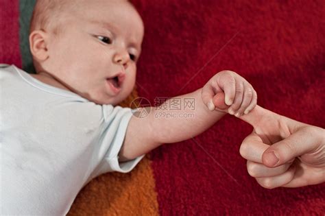新生男孩握着妈妈的手指高清图片下载-正版图片501456060-摄图网