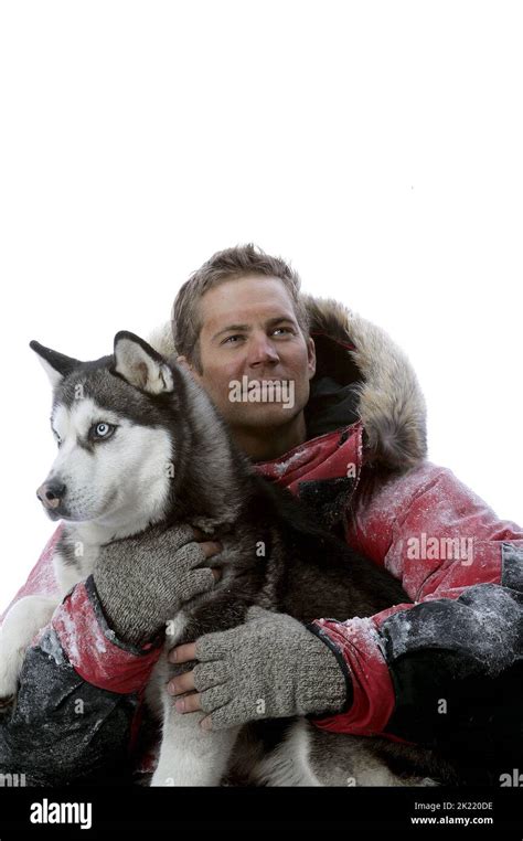 Eight Below Picture - Image Abyss