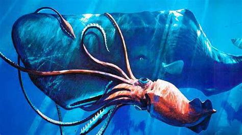 海洋里的秘密你了解?深海中十大最恐怖的生物_探秘志