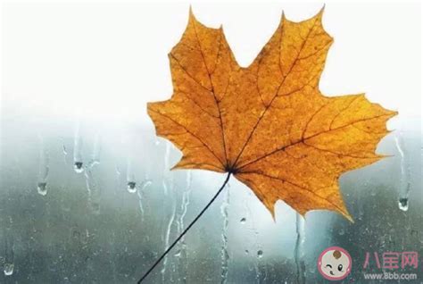 秋天下雨的心情说说 深秋下雨的寂寞伤感说说 _八宝网