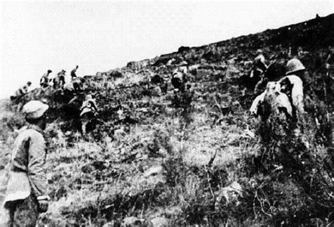 1947年5月，在孟良崮战役之中，华东野战军共有多少个纵队？|纵队|野战军|孟良崮战役_新浪新闻