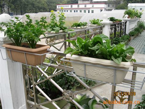 阳台菜地怎么排水,阳台排水,怎样让菜地好排水_大山谷图库