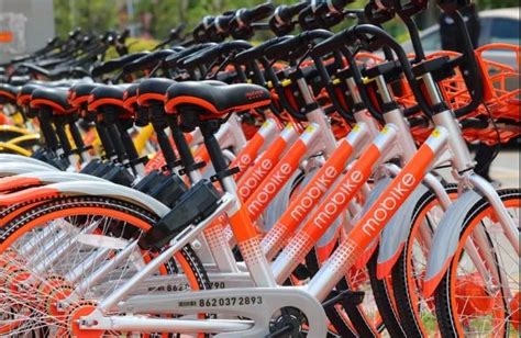 官方赛事独家指定用车，摩拜橙色风暴燃情上海城市自行车定向赛|界面新闻
