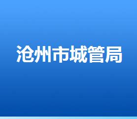 沧州市城市管理综合行政执法局(网上办事大厅)