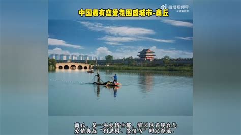 柘城国家湿地公园芦花竞放 景色怡人凤凰网河南_凤凰网