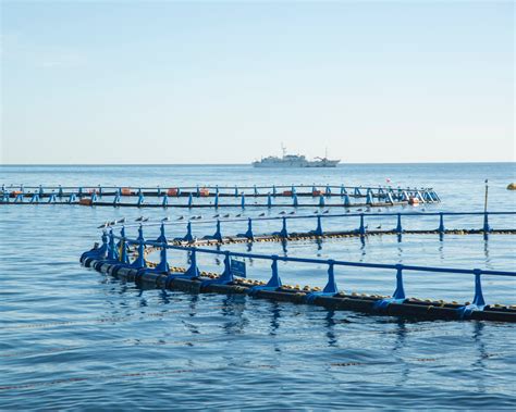 农林牧渔渔业产业转型发展简约蓝色模板-公众号模板-135编辑器