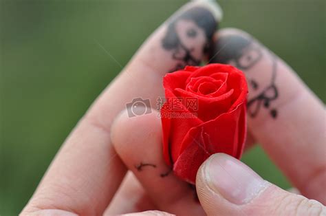 情侣手拿玫瑰创意手指高清图片下载-正版图片500254594-摄图网