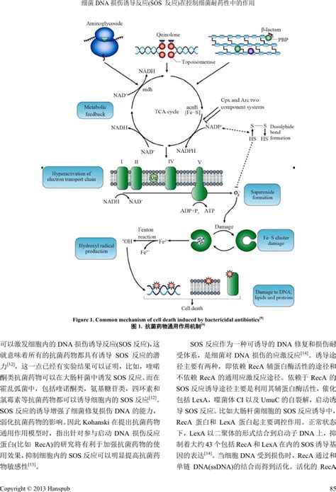 Nature综述：宏基因组测序研究耐药基因的方法和资源-CSDN博客