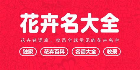 彩绘花卉商务名片_素材中国sccnn.com