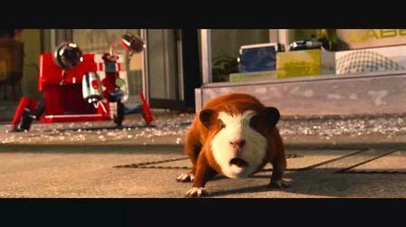《美国豚鼠》-高清电影-完整版在线观看