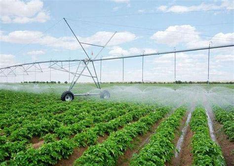 智能节水灌溉具有较好的经济效益_郑州金斗云电子科技有限公司