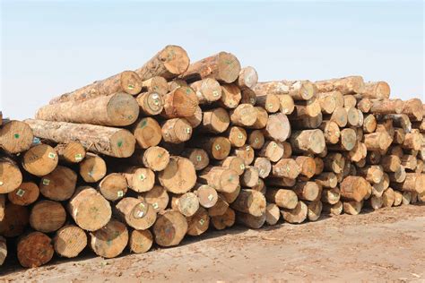 木材厂摆放整齐的木材高清图片下载-正版图片600071984-摄图网