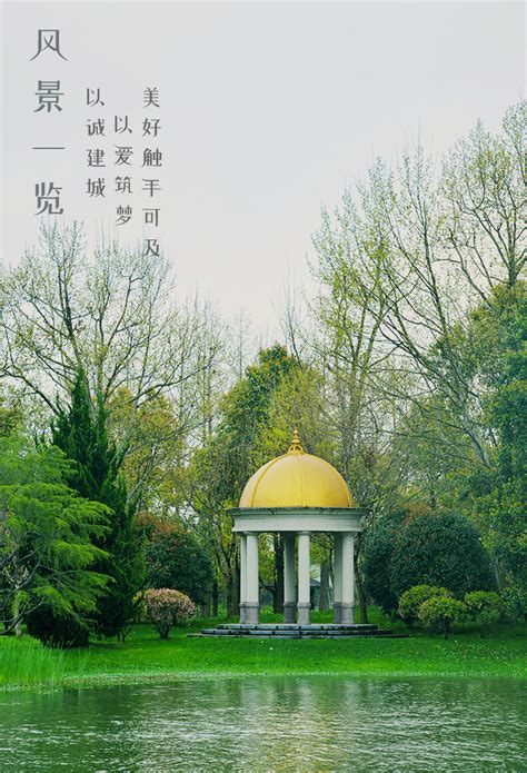 上海清竹园唯一官方网站