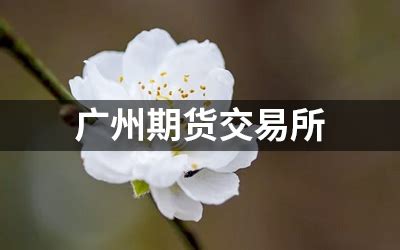 AI合成主播｜广州期货交易所揭牌_凤凰网视频_凤凰网