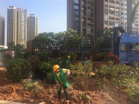 园林绿化工程-呼和浩特市兴业建筑工程有限责任公司
