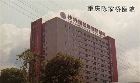 重庆陈家桥医院-重庆鳌迪建材有限公司