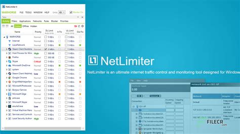 NetLimiter Pro Download and Install | Windows