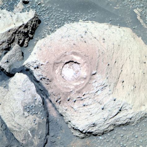 看起来诡异却真实：火星上发现灌木丛_二氧化碳_生命_照片