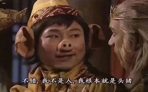 猪八戒搞笑表情包图片