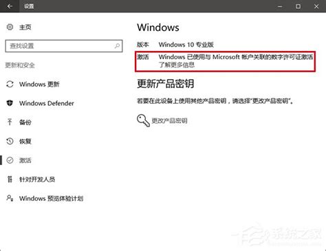 数字许可证永久激活Windows10&11 - 鼹鼠的世界