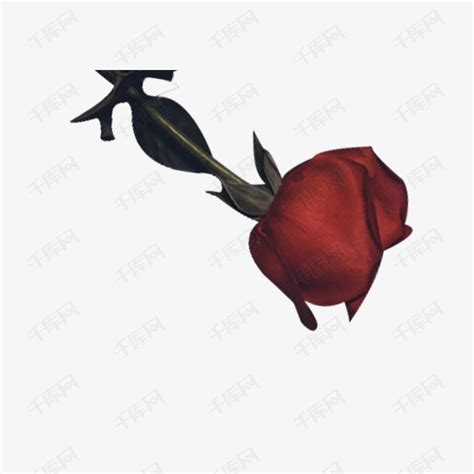 暗黑系红色玫瑰花一朵素材图片免费下载-千库网