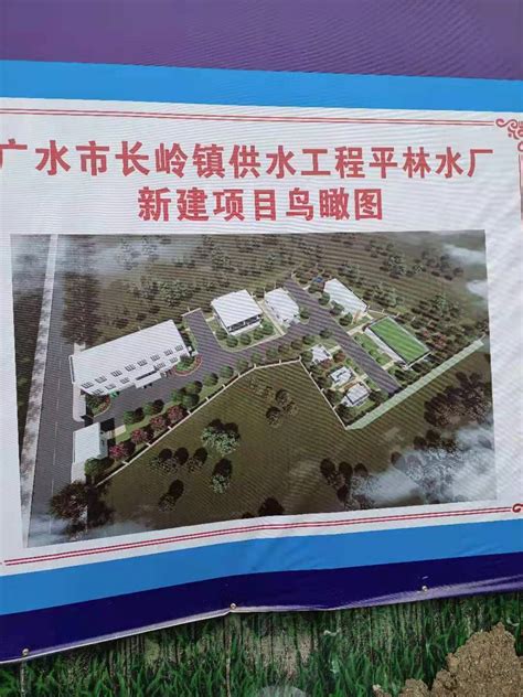 广水市长岭镇供水工程平林水厂新建项目