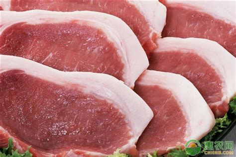 西安猪价多少钱一斤？西安猪肉最新涨幅及市场行情分析 - 惠农网
